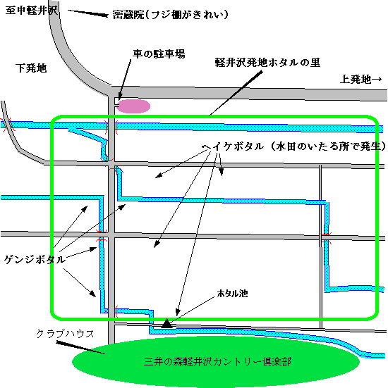 お山の蛍シーズンです☆_f0236260_2238366.gif