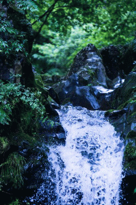 c0260264_22563529.gif