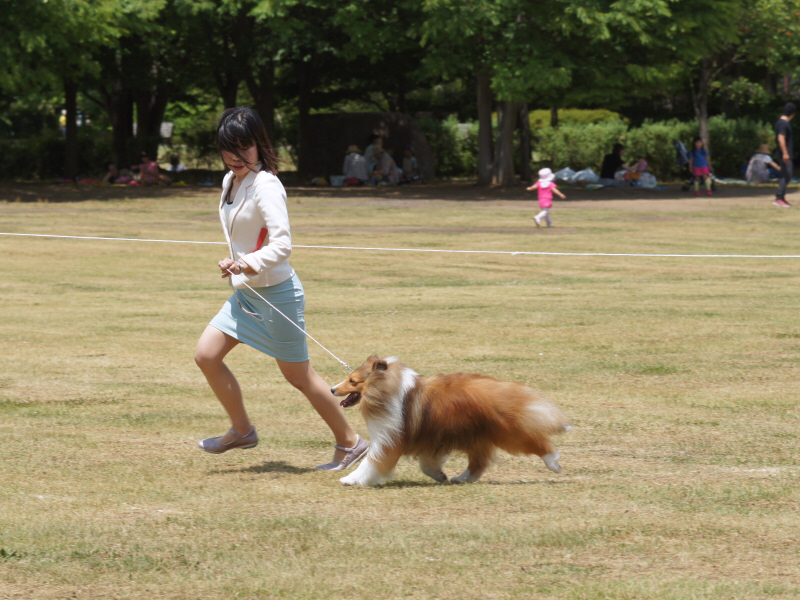 長野展_f0126965_14353074.jpg