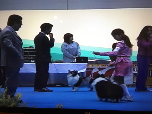ジャムちゃん_f0126965_15412048.jpg