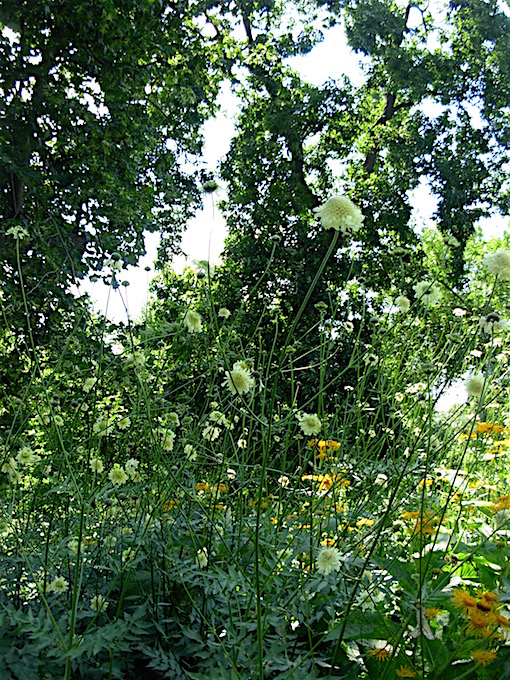 e0357367_1251512.jpg