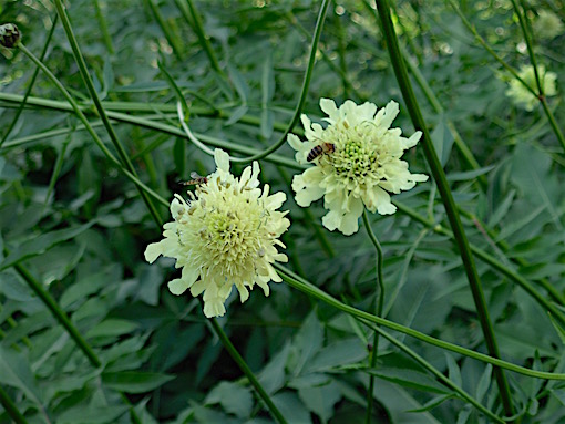 e0357367_12522430.jpg