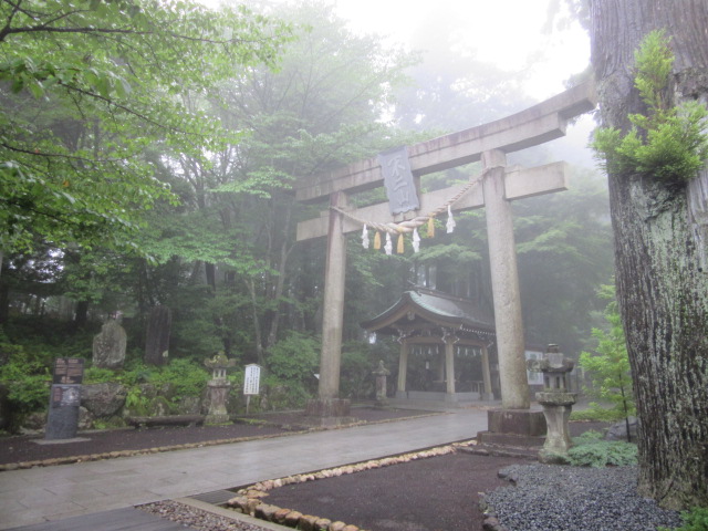 d0109373_1337196.jpg