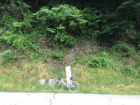 c0206177_16194094.jpeg