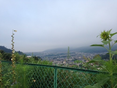 f0315081_18380474.jpeg