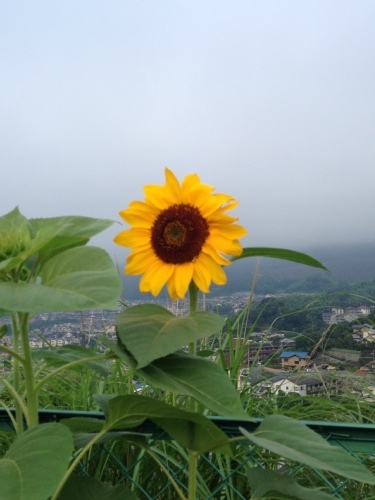 f0315081_18382819.jpeg