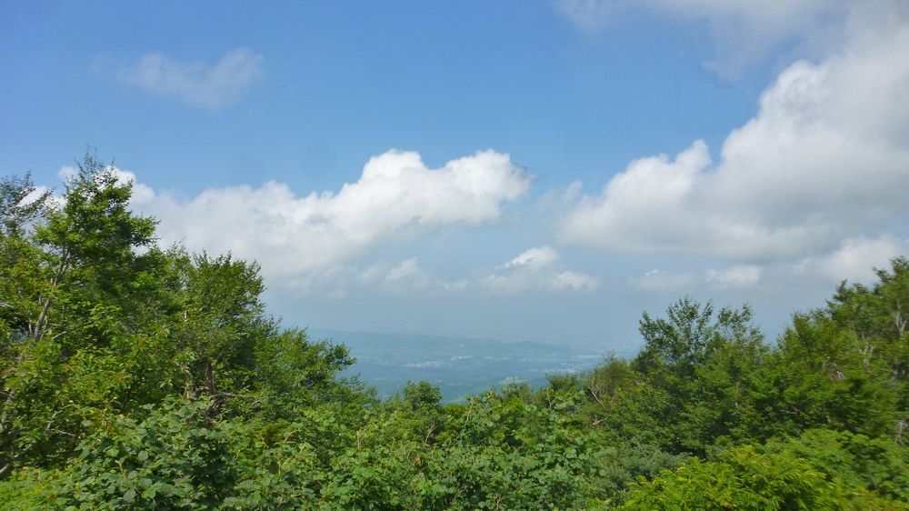 e0355083_15474763.jpg