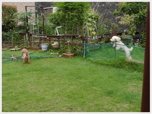 b0175688_00401442.gif