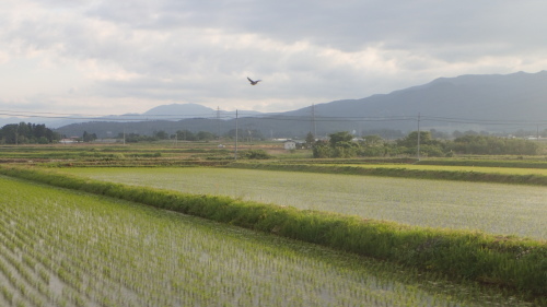 BRM618宇都宮600km日本海　試走　後編_a0338094_22160183.jpg