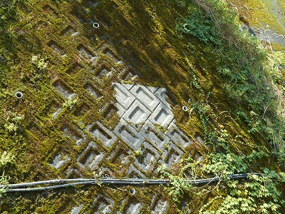 f0308898_10314979.jpg