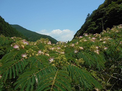 f0308898_10333012.jpg
