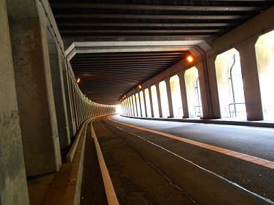 f0308898_10341091.jpg