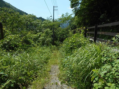 f0308898_10371178.jpg