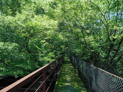 f0308898_1038054.jpg