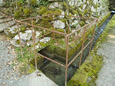 f0308898_10435486.jpg