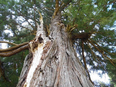 f0308898_10441666.jpg