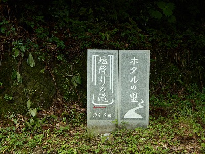 f0308898_1048297.jpg