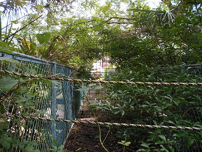 f0308898_10491150.jpg