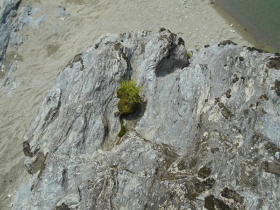 f0308898_10544174.jpg