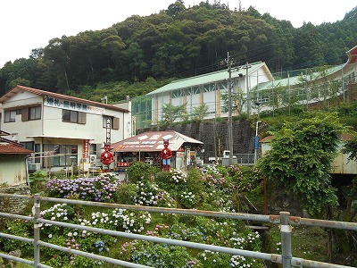 f0308898_10555583.jpg