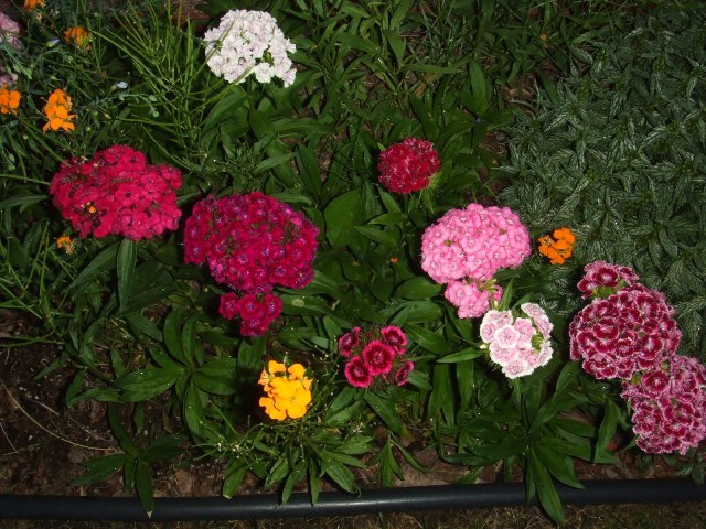 c0062603_13575697.jpg