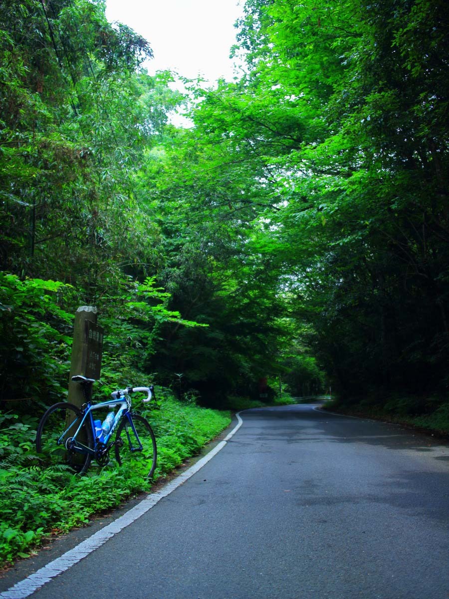 The road is downhill_e0009009_10480578.jpg