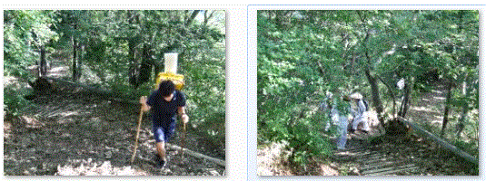 f0231709_10184713.gif