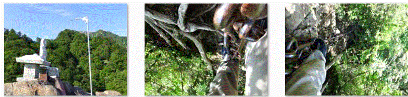 f0231709_10281520.gif