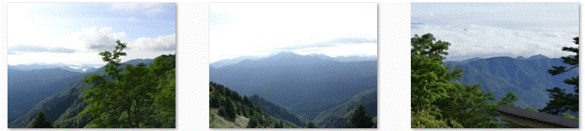 f0231709_1033642.gif