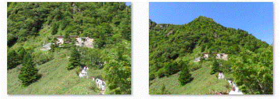 f0231709_11201346.gif