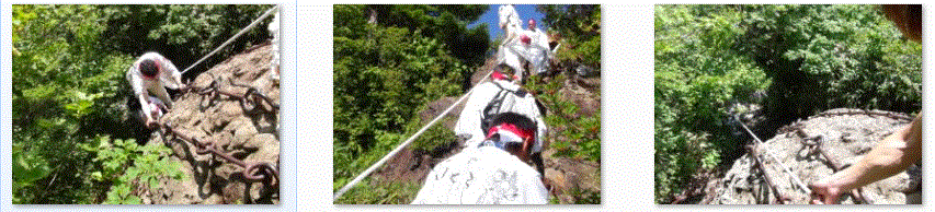 f0231709_1121811.gif
