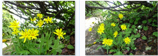 f0231709_13373269.gif