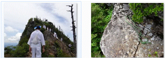 f0231709_13393675.gif