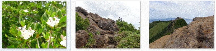 f0231709_1412676.gif