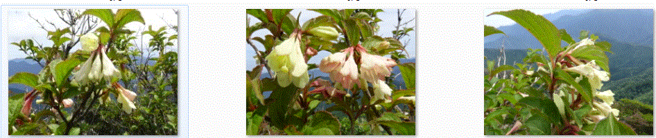 f0231709_14441648.gif