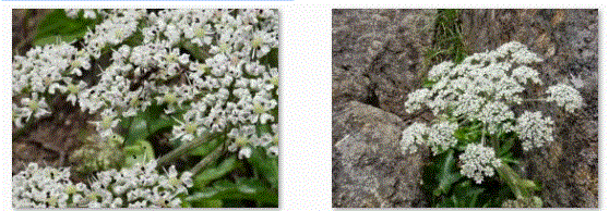 f0231709_15453575.gif