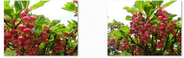 f0231709_1582891.gif