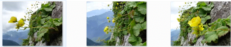 f0231709_1613177.gif