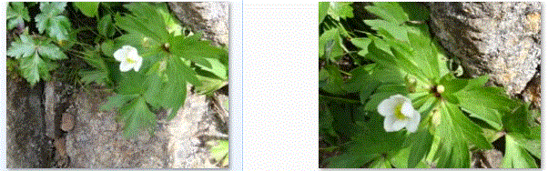 f0231709_1643051.gif
