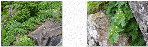 f0231709_1661465.gif