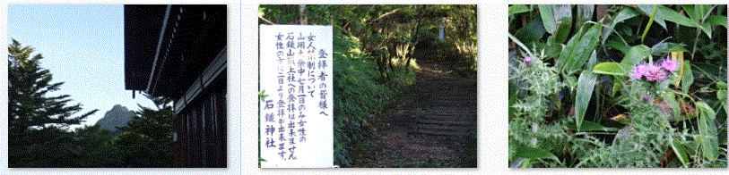 f0231709_9363064.gif