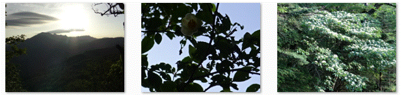 f0231709_936523.gif