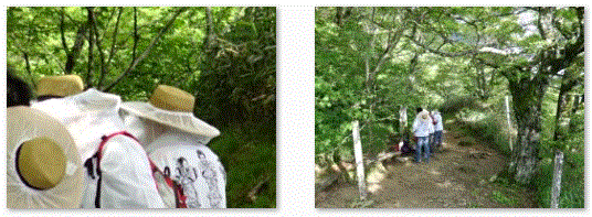 f0231709_9432373.gif