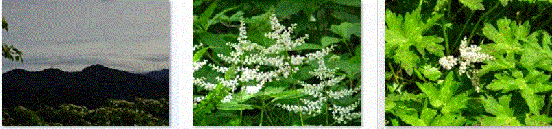 f0231709_9471031.gif