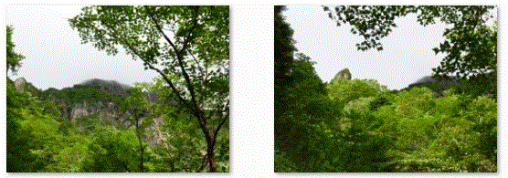 f0231709_949263.gif