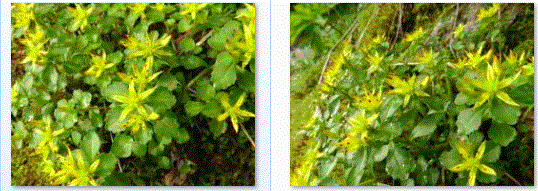 f0231709_9511377.gif