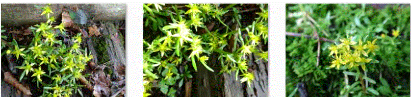f0231709_9543954.gif