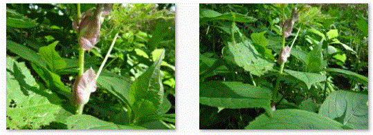 f0231709_9554376.gif
