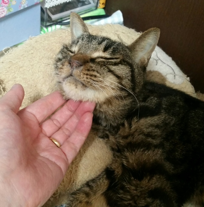e0144012_17411882.jpeg