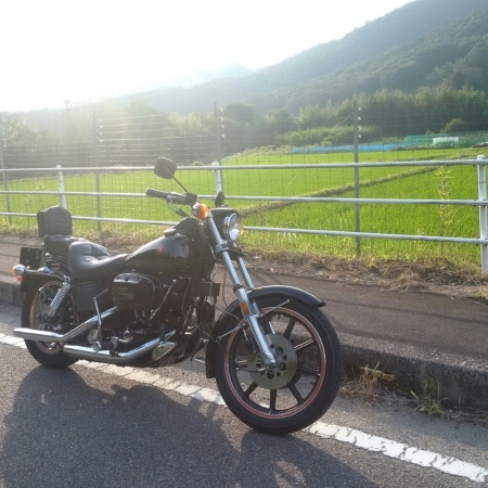 ショベル色々~_a0159215_00521967.jpg